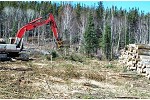 mto-pickle-lake-clearing-img-01