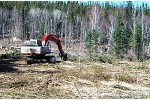 mto-pickle-lake-clearing-img-02