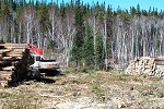 mto-pickle-lake-clearing-img-04
